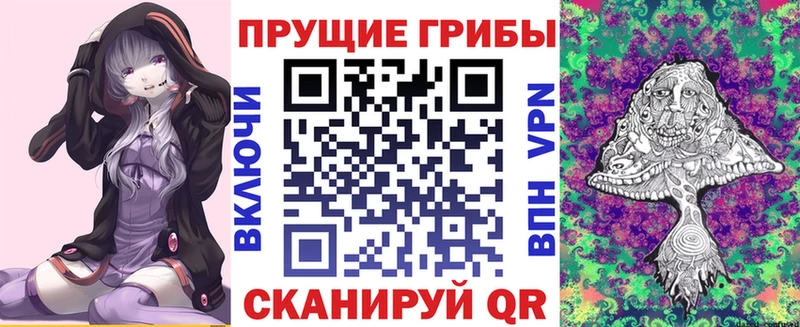 что такое   площадка формула  Галлюциногенные грибы MAGIC MUSHROOMS  Кочубеевское 